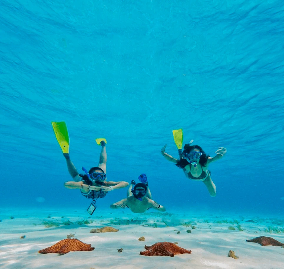 personas-realizando-snorkel