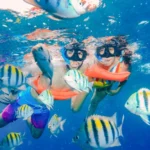 pareja-realizando-snorkel
