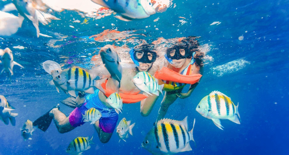 pareja-realizando-snorkel