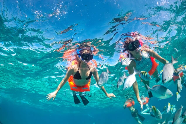 personas-haciendo-snorkel-en-isla-mujeres