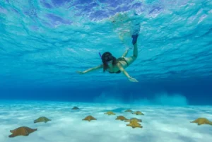 mujer-haciendo-snorkel-en-cozumel