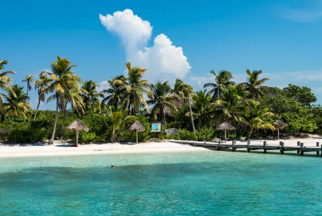 isla-contoy